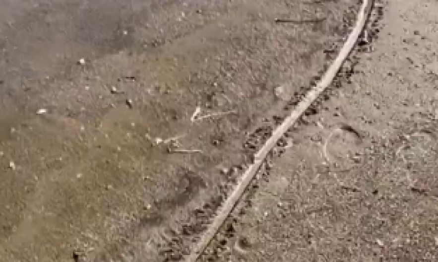 NOVI ZEMLJOTRES KOD SANTORINIJA JAČINE 4,5 RIHTERA! Širi se jeziv snimak iz susedne države: More se povuklo! (VIDEO)