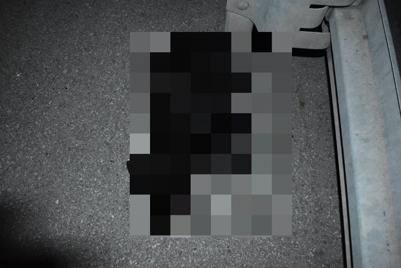 SRĐAN MILIVOJEVIĆ PREGAZIO PSA! Jezive slike sa mesta nesreće! Policiju zvao da utvrde štetu na njegovim kolima, a kukao na sav glas kad je hitna pomoć to slučajno uradila (FOTO)