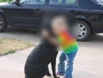 DEVOJČICA NAPISALA PISMO SVOM PREMINULOM PSU Ono što je dobila zauvek joj je promenilo život! (FOTO)